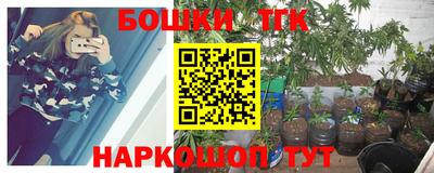 гашик Можайск
