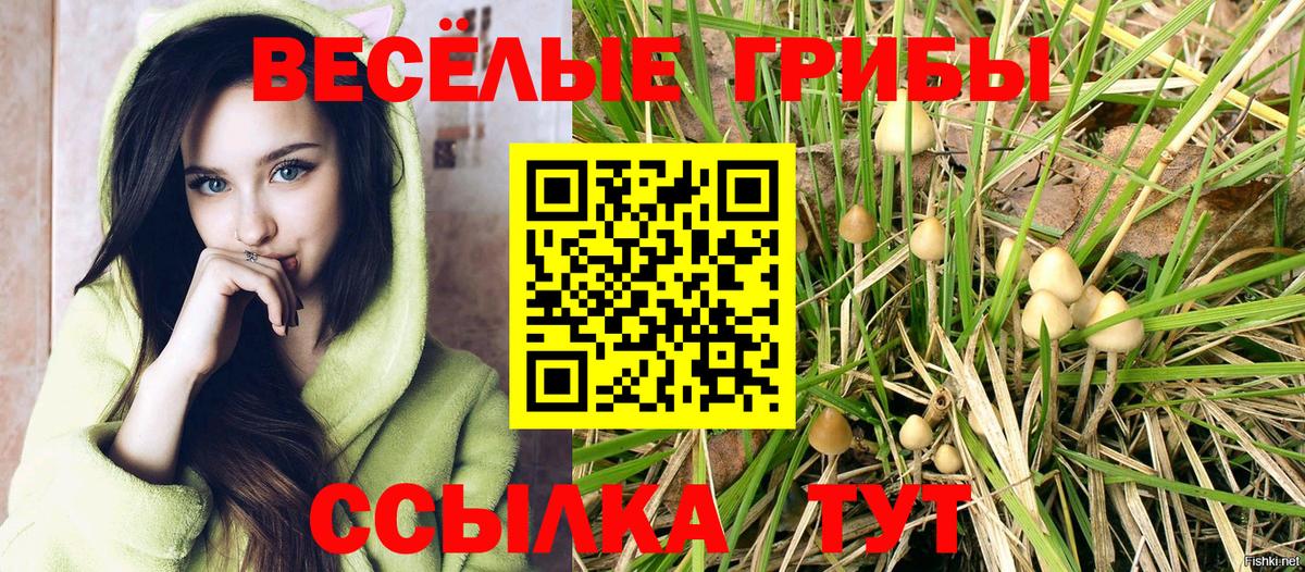 Галлюциногенные грибы GOLDEN TEACHER Шелехов