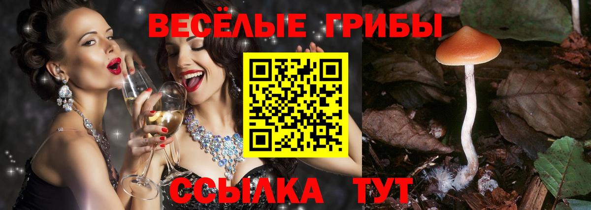 Шелехов  Псилоцибиновые грибы прущие грибы  Вход с VPN 